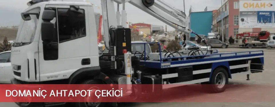 Domaniç İlçemi Ahtapot Çekici