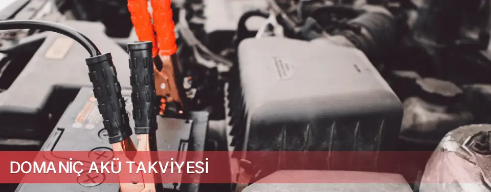 Domaniç İlçemi Akü Takviyesi