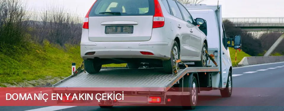 Domaniç İlçemi En Yakın Çekici