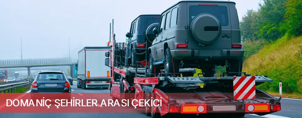 Domaniç İlçemi Şehirler Arası Çekici