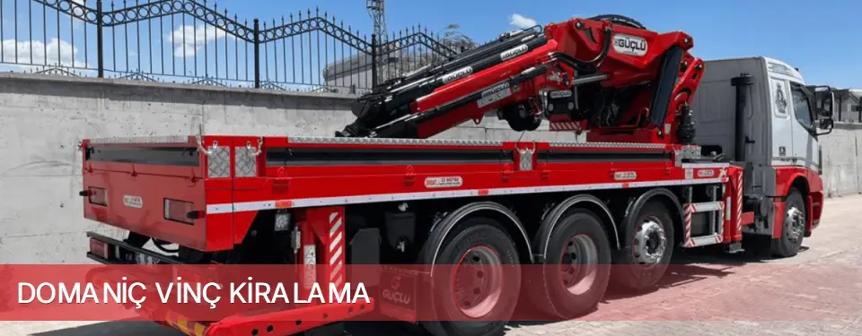 Domaniç İlçemi Vinç Kiralama